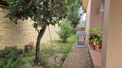 Single-family detached house in Colonia San Miguel-Los Pinos photo 4