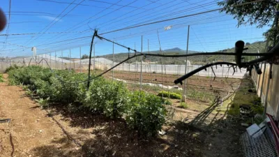 Terreno en venta en Urbanización El Pedroso, Cabra de 350.000 €