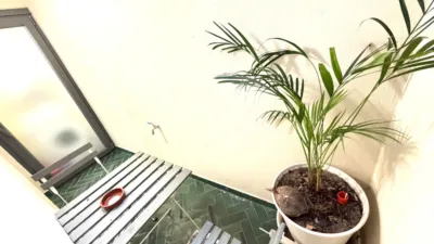 Piso en venta en Carrer de Bailèn, cerca de Carrer de la Indústria, El Camp d'en Grassot-Gràcia Nova (Distrito Gràcia. Barcelona Capital) de 269.900 €