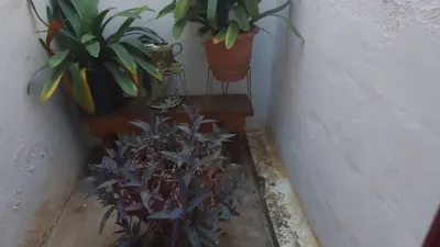House in La Prosperitat photo 17