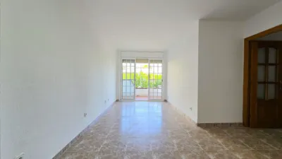 Apartment in Marítim photo 11