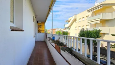 Apartment in Marítim photo 4