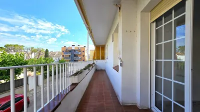Apartment in Marítim photo 2