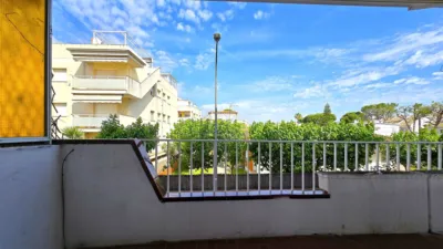 Apartment in Marítim photo 3