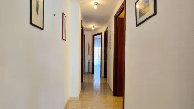 Apartment in Marítim photo 27