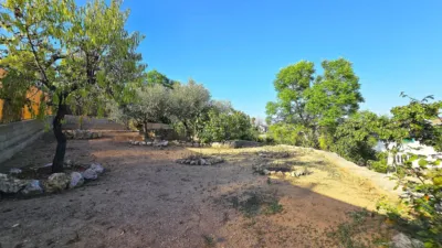 Detached house in Mas Trader-Corral d'en Tort-Corral d'en Cona photo 45