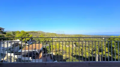 Detached house in Mas Trader-Corral d'en Tort-Corral d'en Cona photo 30