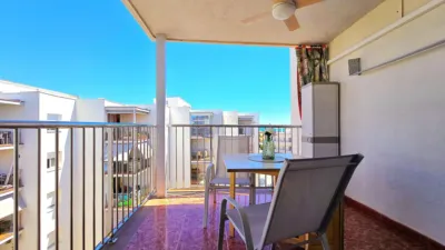 Apartment in Marítim photo 2