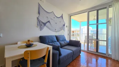 Apartment in Marítim photo 12
