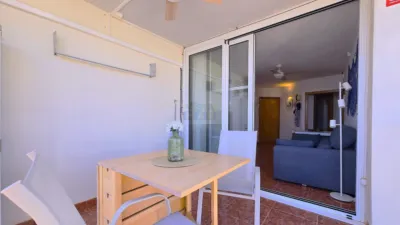 Apartment in Marítim photo 3