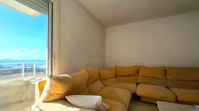 Apartment in Marítim photo 7