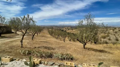Rustic finca on Cabezo de La Jara Street photo 22