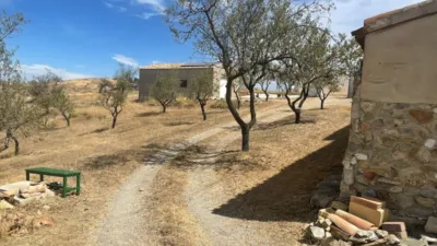 Rustic finca on Cabezo de La Jara Street photo 21