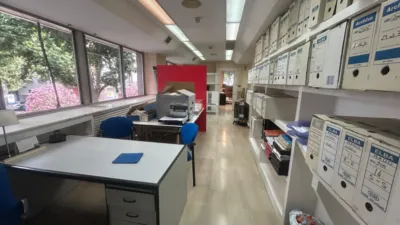 Miniatura 11