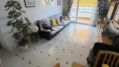 Apartment on Carrer de la Ribera d'Ebre photo 10