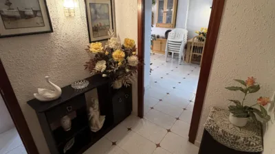 Apartment on Carrer de la Ribera d'Ebre photo 31