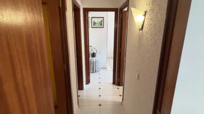 Apartment on Carrer de la Ribera d'Ebre photo 32