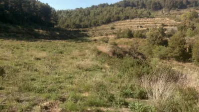 Finca rústica en venta en Vilaplana, Vilaplana de 190.000 €