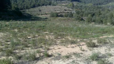 Finca rústica en venta en Vilaplana, Vilaplana de 190.000 €
