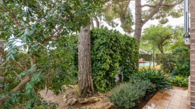 Chalet en venta en El Pinar, Mestral (Reus) de 598.000 €
