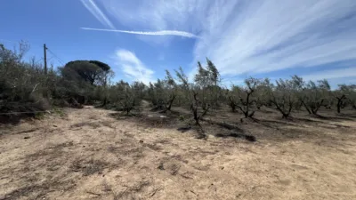 Finca rústica en venta en Carretera de Maspujols, Riudoms de 106.000 €