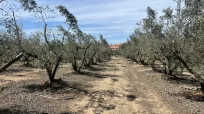Finca rústica en venta en Carretera de Maspujols, Riudoms de 106.000 €