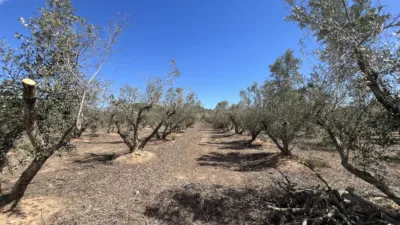 Finca rústica en venta en Carretera de Maspujols, Riudoms de 106.000 €