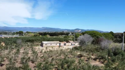 Finca rústica en venta en Carretera de Maspujols, Riudoms de 106.000 €