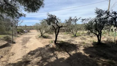 Finca rústica en venta en Carretera de Maspujols, Riudoms de 106.000 €