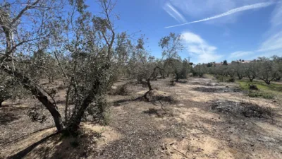 Finca rústica en venta en Carretera de Maspujols, Riudoms de 106.000 €