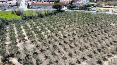 Finca rústica en venta en Carretera de Maspujols, Riudoms de 106.000 €
