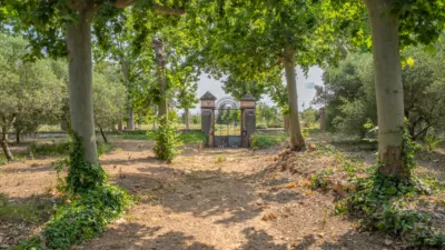 Finca rústica en venta en Camí de la Pedrera del Cobic, 21, Mestral (Reus) de 598.000 €