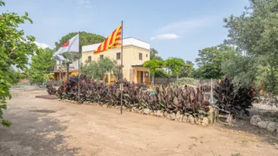 Finca rústica en venta en Camí de la Pedrera del Cobic, 21, Mestral (Reus) de 598.000 €