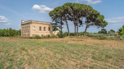 Finca rústica en venta en Camí de la Pedrera del Cobic, 21, Mestral (Reus) de 598.000 €