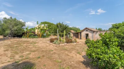 Finca rústica en venta en Camí de la Pedrera del Cobic, 21, Mestral (Reus) de 598.000 €