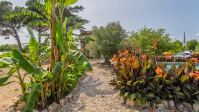 Finca rústica en venta en Camí de la Pedrera del Cobic, 21, Mestral (Reus) de 598.000 €