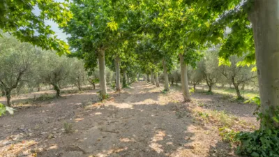 Finca rústica en venta en Camí de la Pedrera del Cobic, 21, Mestral (Reus) de 598.000 €