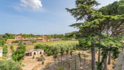 Finca rústica en venta en Camí de la Pedrera del Cobic, 21, Mestral (Reus) de 598.000 €