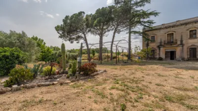 Finca rústica en venta en Camí de la Pedrera del Cobic, 21, Mestral (Reus) de 598.000 €