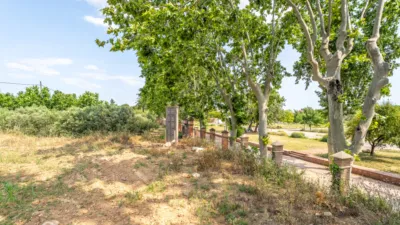 Finca rústica en venta en Camí de la Pedrera del Cobic, 21, Mestral (Reus) de 598.000 €