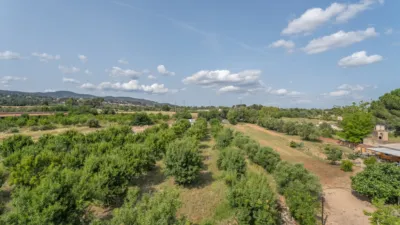 Finca rústica en venta en Camí de la Pedrera del Cobic, 21, Mestral (Reus) de 598.000 €