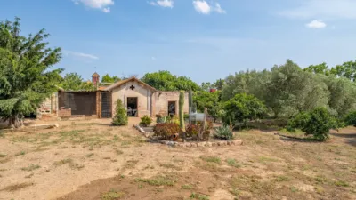 Finca rústica en venta en Camí de la Pedrera del Cobic, 21, Mestral (Reus) de 598.000 €