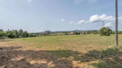 Finca rústica en venta en Camí de la Pedrera del Cobic, 21, Mestral (Reus) de 598.000 €