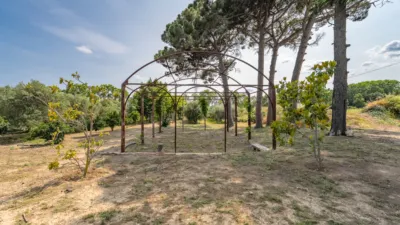 Finca rústica en venta en Camí de la Pedrera del Cobic, 21, Mestral (Reus) de 598.000 €