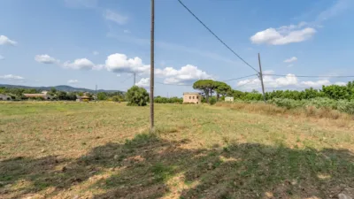 Finca rústica en venta en Camí de la Pedrera del Cobic, 21, Mestral (Reus) de 598.000 €