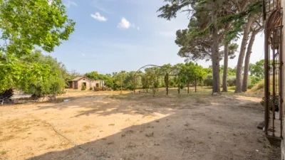 Finca rústica en venta en Camí de la Pedrera del Cobic, 21, Mestral (Reus) de 598.000 €