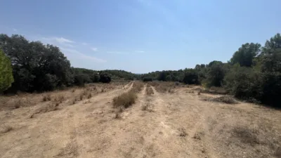Finca rústica en Camí de l'Aleixar, 15 photo 2