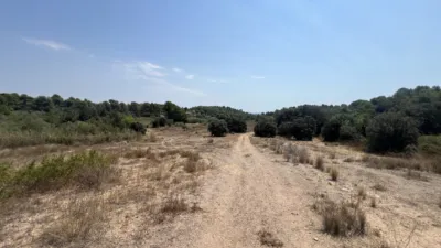 Finca rústica en Camí de l'Aleixar, 15 photo 3