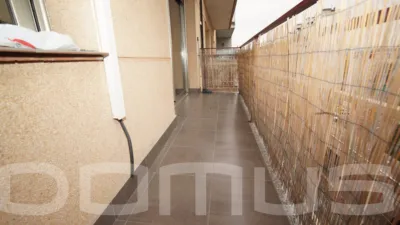 Apartment in Sant Vicenç Dels Horts photo 4
