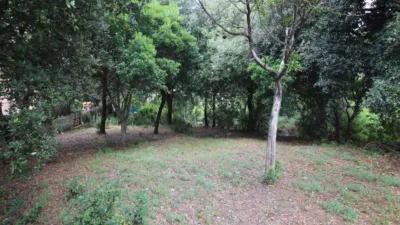 House in Castellar del Vallès photo 15